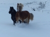 winter-2016-125