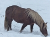 winter-2016-156